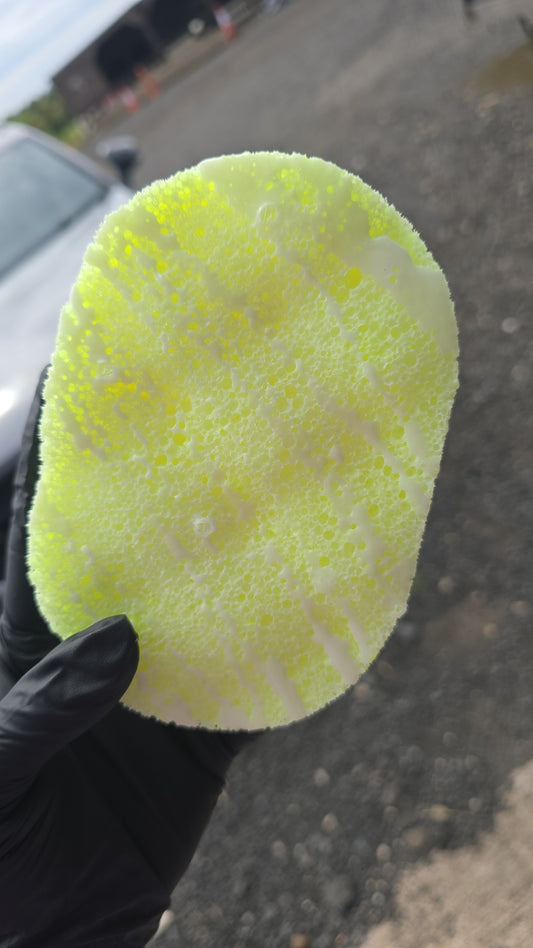 Shes a Flower (daisy)